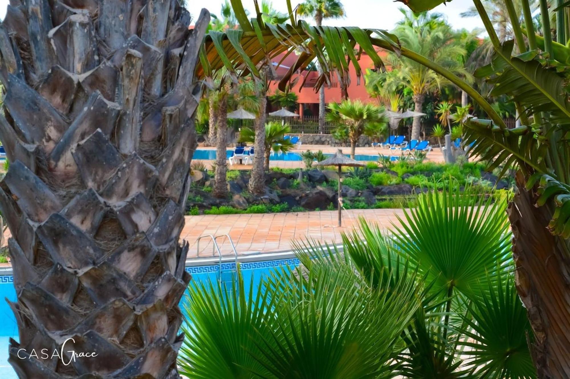 Tamarindo 1 Casa Grace Wifi Free Pool View By Rentalfue Corralejo Eksteriør bilde